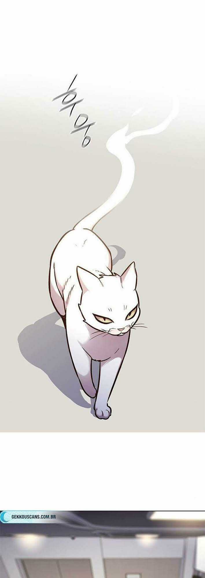 Biến Thân Thành Mèo - Chapter 166 - Trang 8