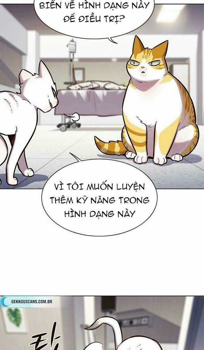 Biến Thân Thành Mèo - Chapter 166 - Trang 10