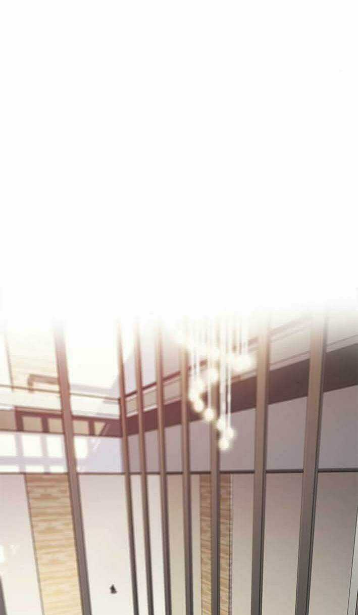 Biến Thân Thành Mèo - Chapter 167 - Trang 30