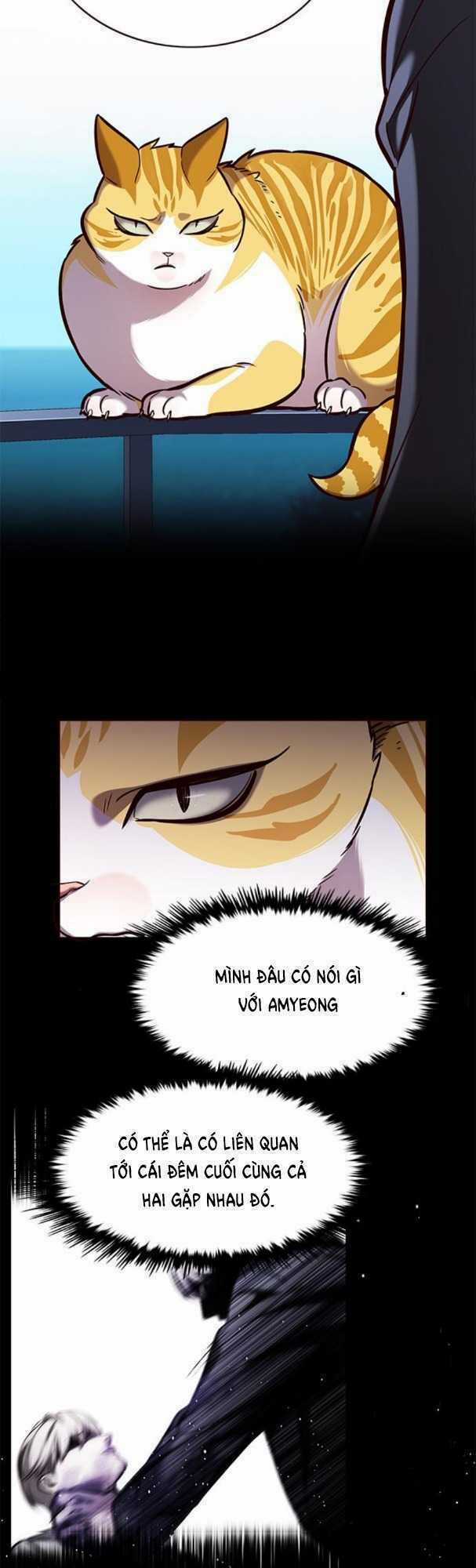 Biến Thân Thành Mèo - Chapter 169 - Trang 39