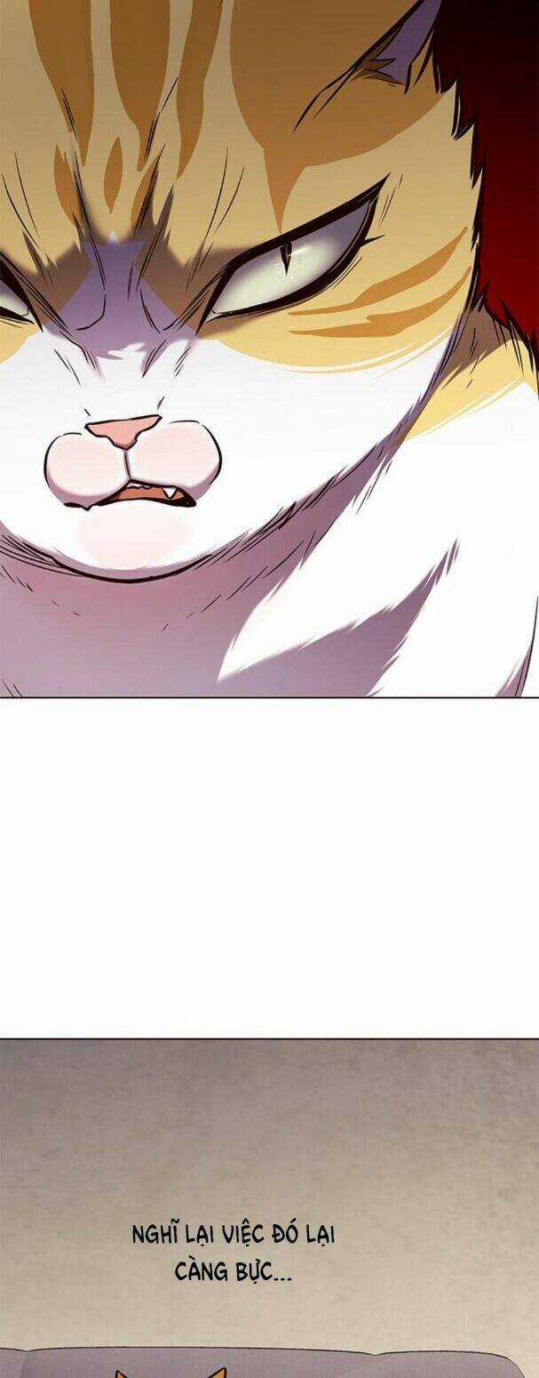 Biến Thân Thành Mèo - Chapter 173 - Trang 35