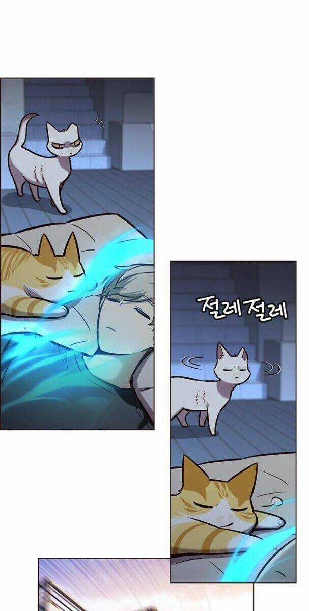 Biến Thân Thành Mèo - Chapter 174 - Trang 55