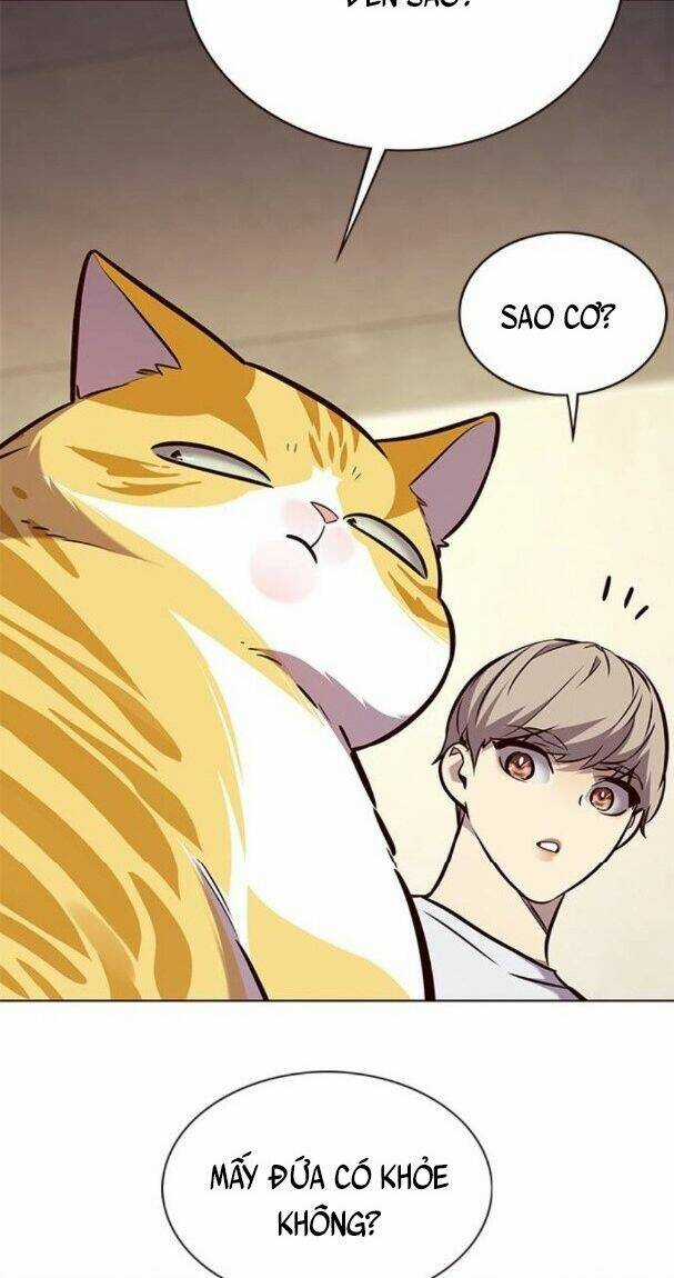 Biến Thân Thành Mèo - Chapter 176 - Trang 60