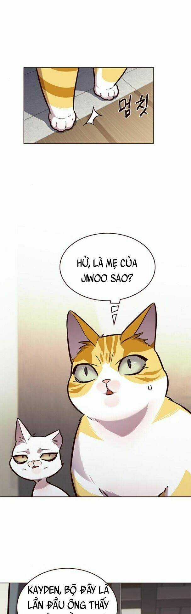 Biến Thân Thành Mèo - Chapter 177 - Trang 1
