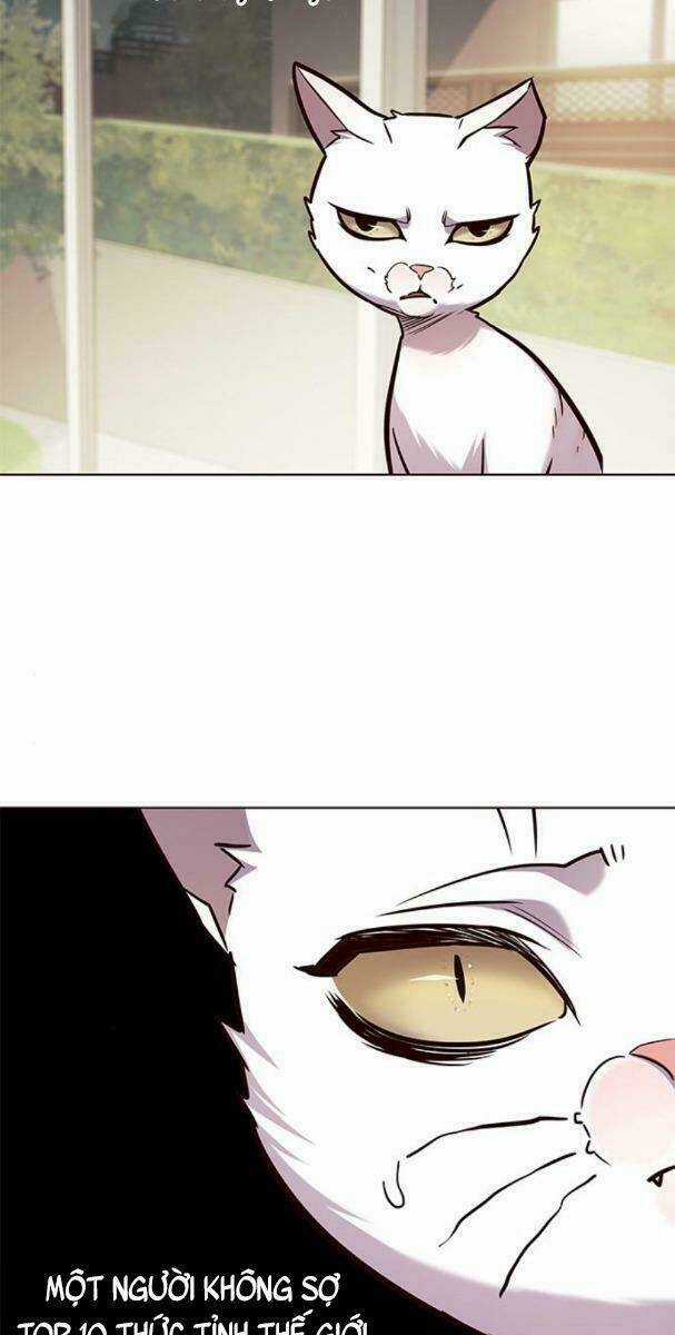 Biến Thân Thành Mèo - Chapter 177 - Trang 47