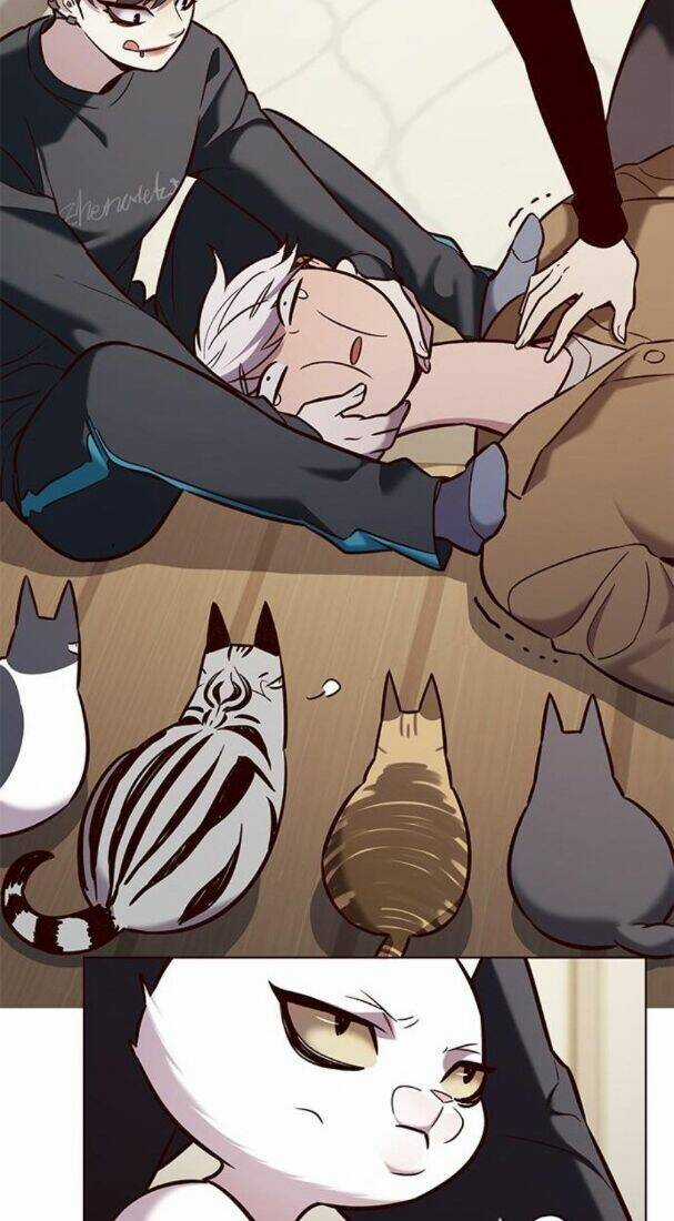 Biến Thân Thành Mèo - Chapter 178 - Trang 23