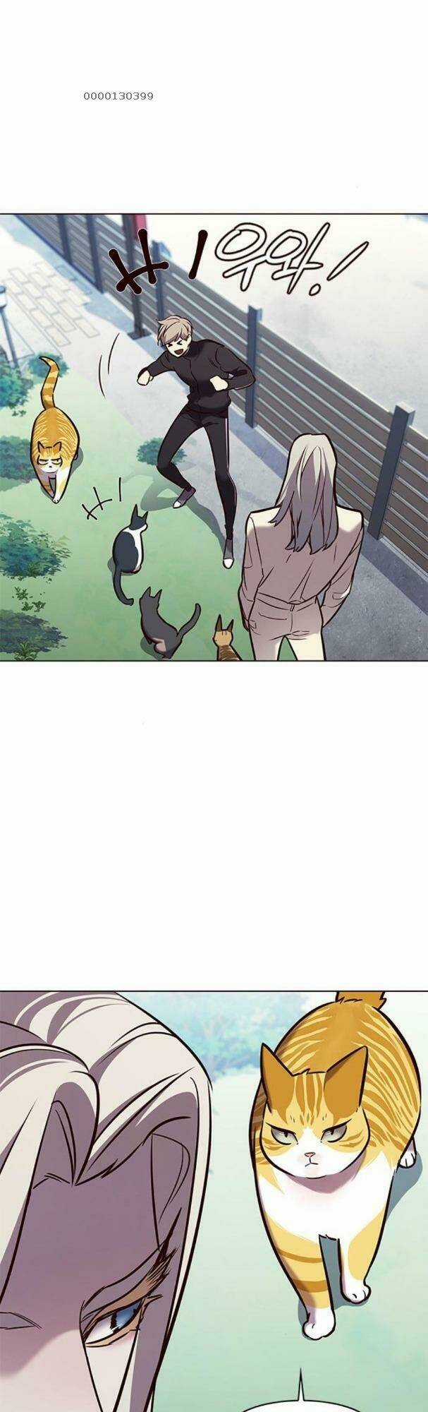 Biến Thân Thành Mèo - Chapter 179 - Trang 56