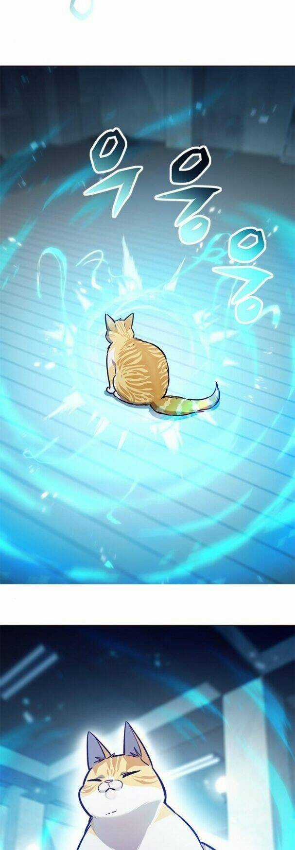 Biến Thân Thành Mèo - Chapter 180 - Trang 2