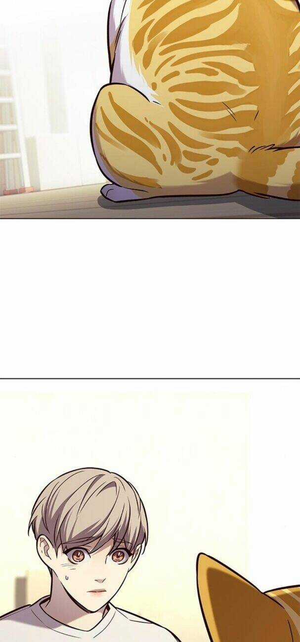 Biến Thân Thành Mèo - Chapter 180 - Trang 15