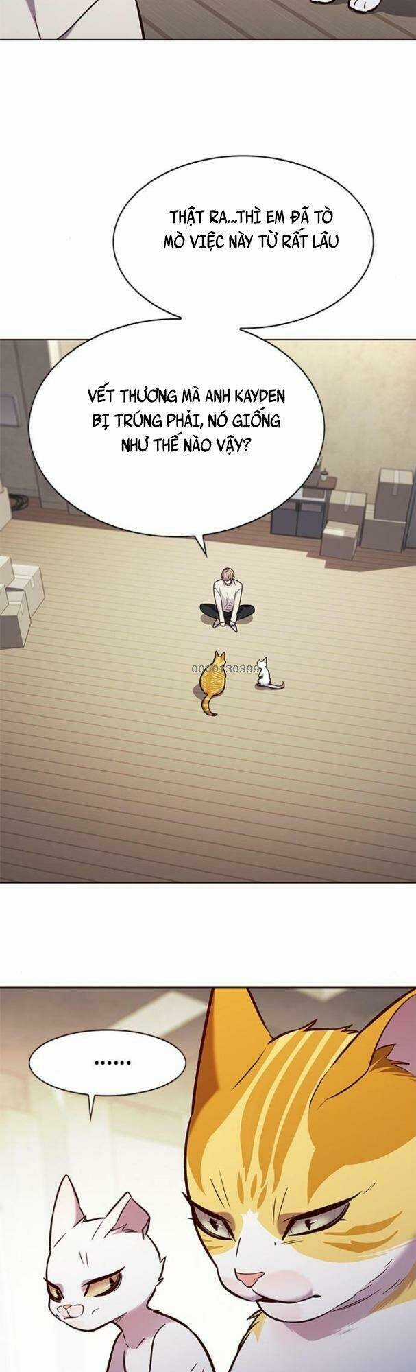 Biến Thân Thành Mèo - Chapter 180 - Trang 17