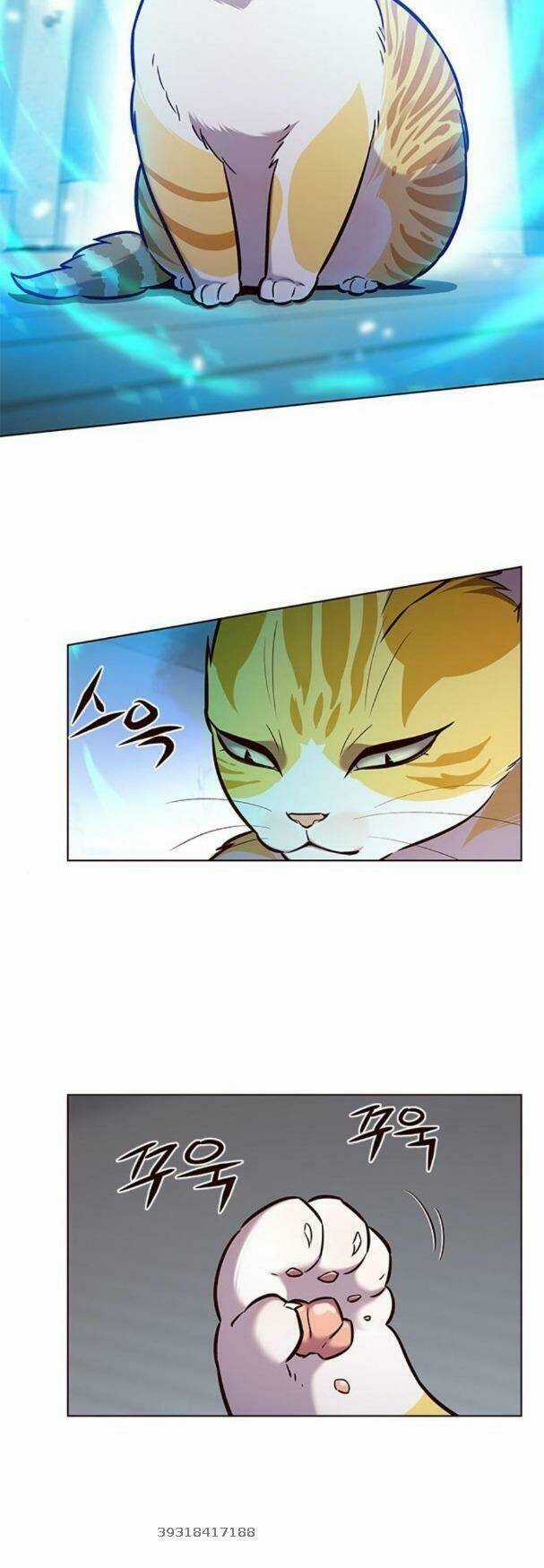 Biến Thân Thành Mèo - Chapter 180 - Trang 3