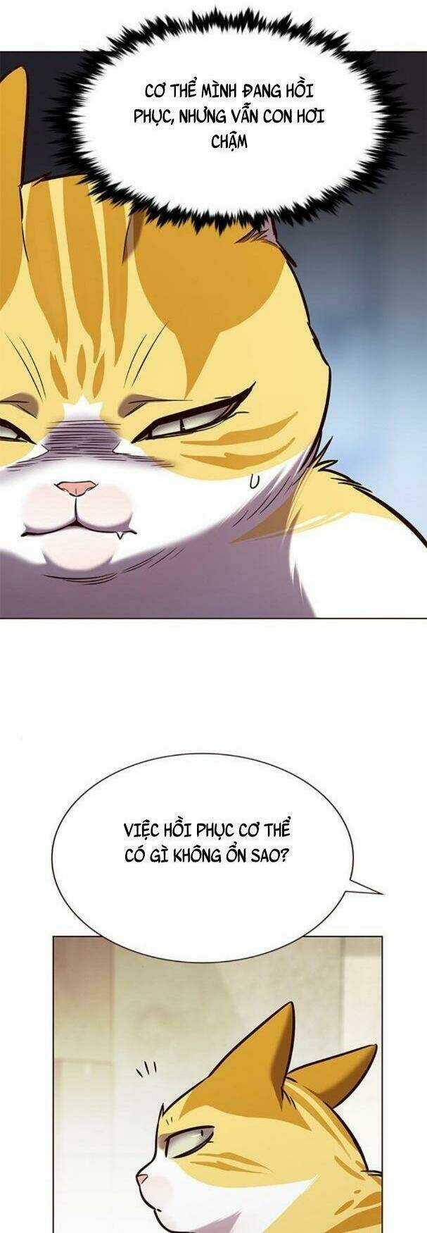Biến Thân Thành Mèo - Chapter 180 - Trang 4