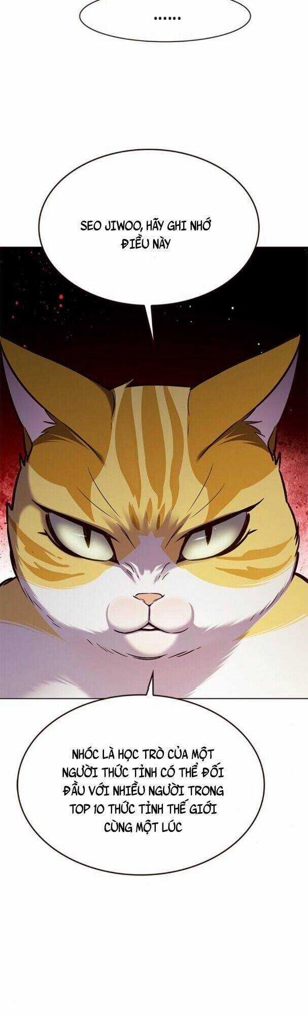 Biến Thân Thành Mèo - Chapter 180 - Trang 40