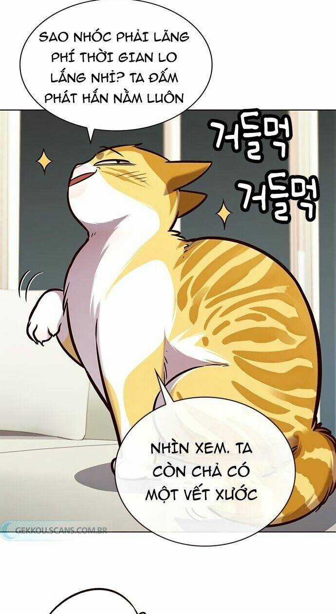 Biến Thân Thành Mèo - Chapter 186 - Trang 21