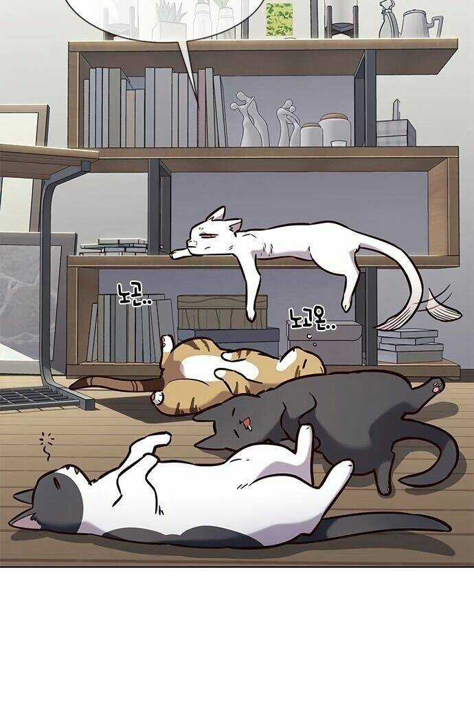 Biến Thân Thành Mèo - Chapter 187 - Trang 4