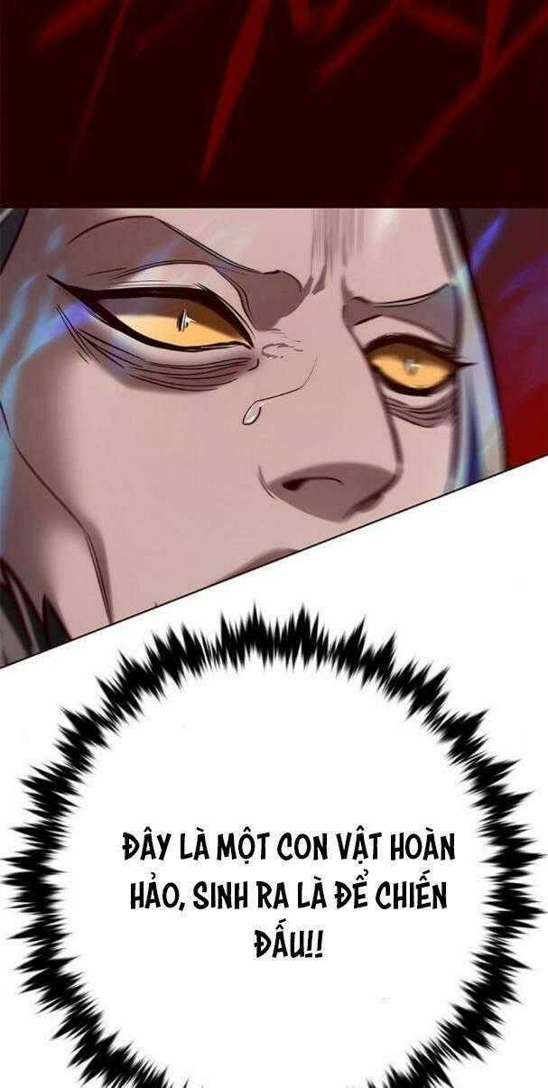 Biến Thân Thành Mèo - Chapter 195 - Trang 56