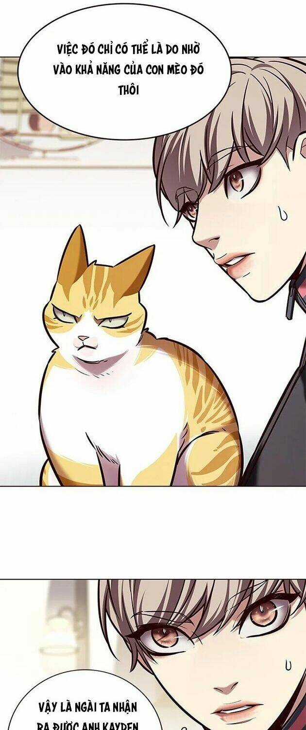 Biến Thân Thành Mèo - Chapter 196 - Trang 10