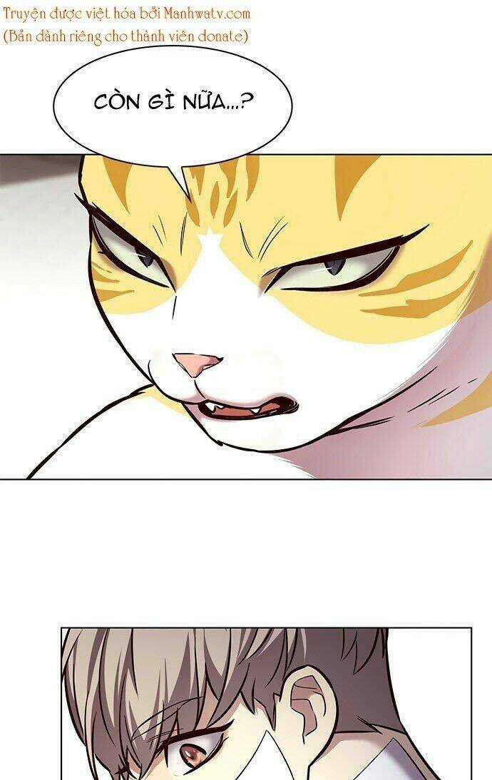 Biến Thân Thành Mèo - Chapter 199 - Trang 49