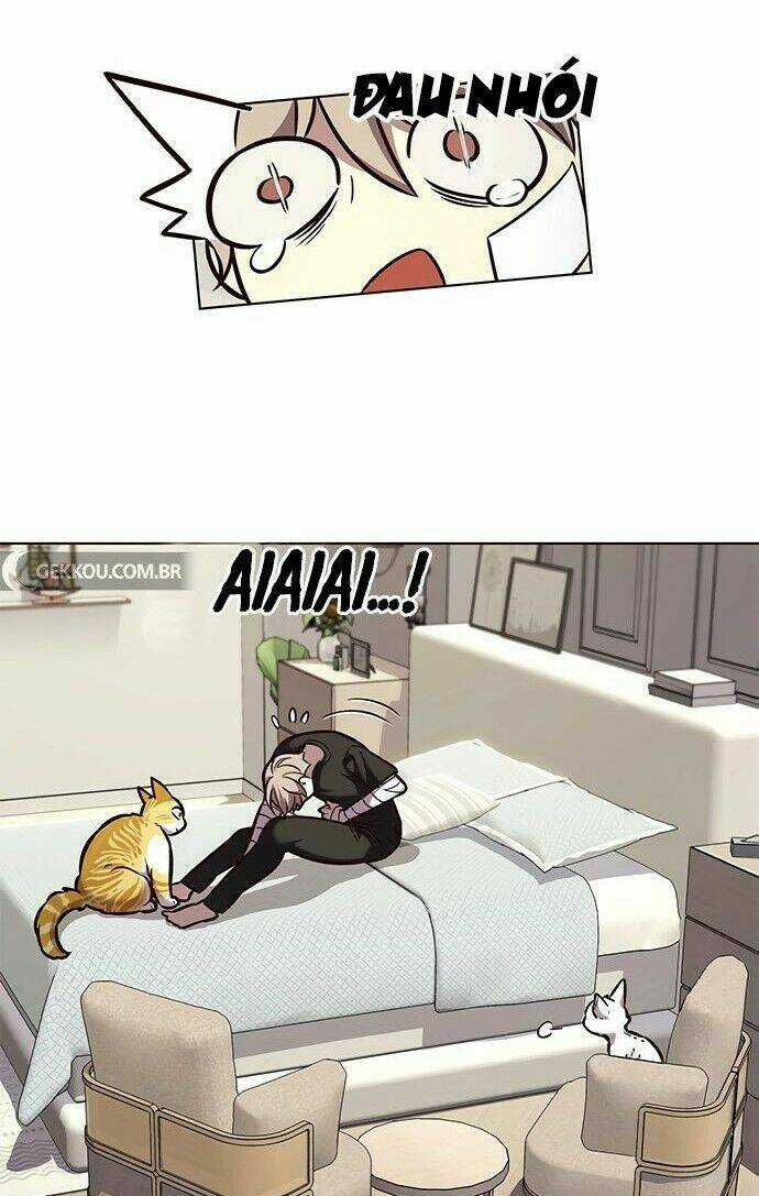 Biến Thân Thành Mèo - Chapter 199 - Trang 64