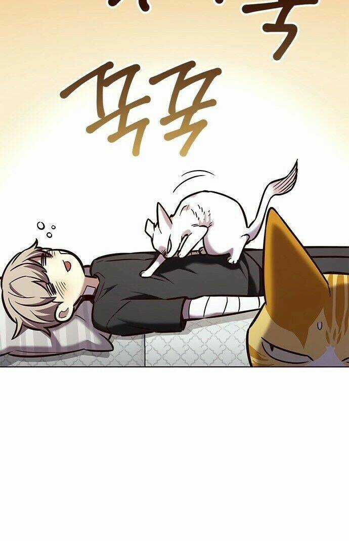 Biến Thân Thành Mèo - Chapter 199 - Trang 76