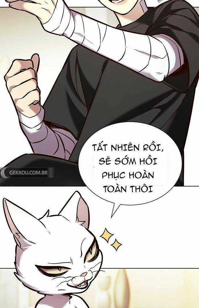 Biến Thân Thành Mèo - Chapter 199 - Trang 78