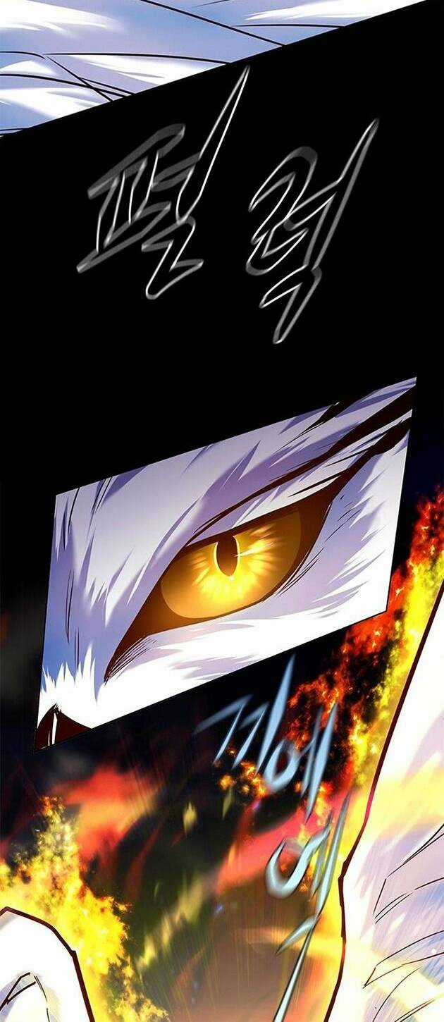 Biến Thân Thành Mèo - Chapter 221 - Trang 72