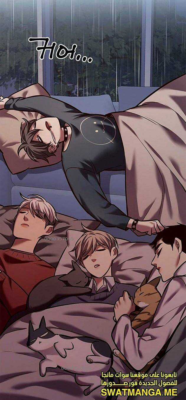 Biến Thân Thành Mèo - Chapter 224 - Trang 3