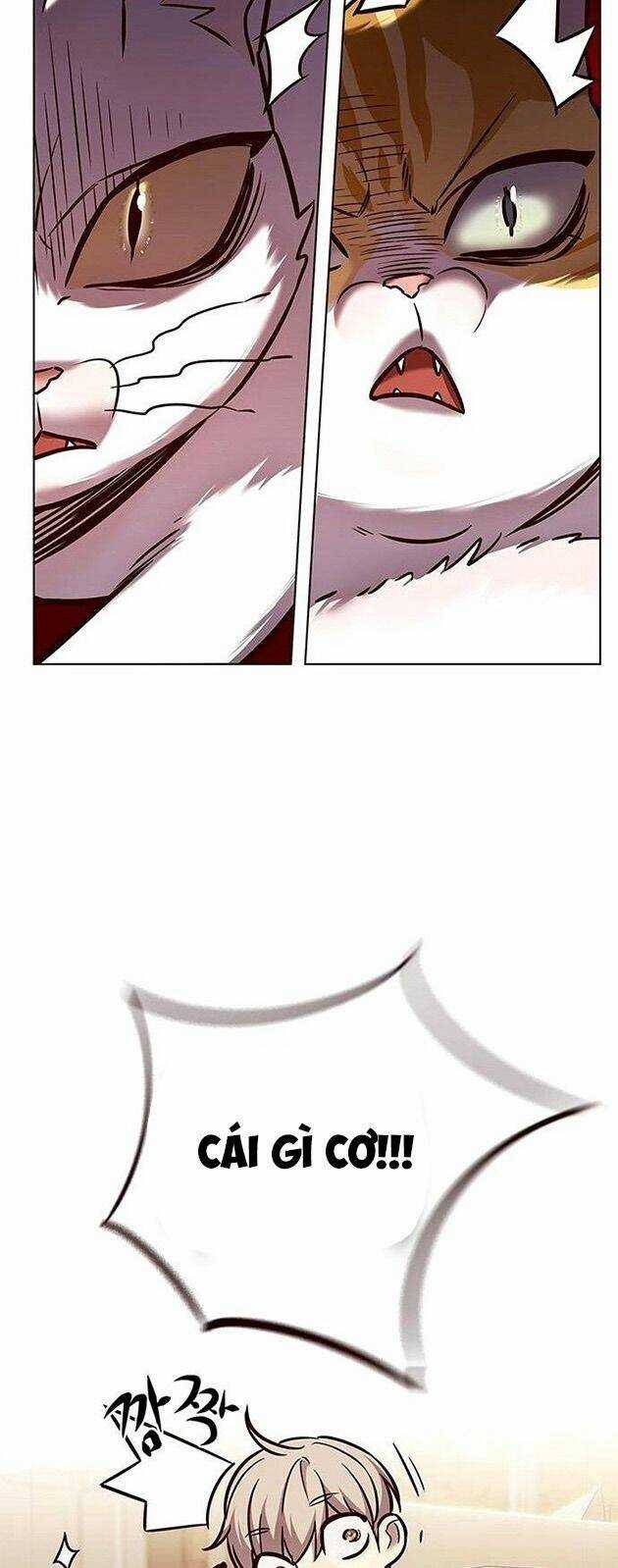 Biến Thân Thành Mèo - Chapter 225 - Trang 44