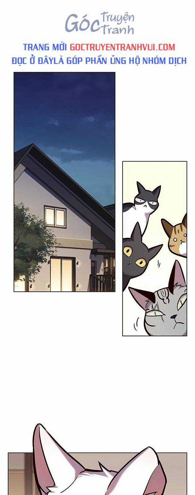 Biến Thân Thành Mèo - Chapter 227 - Trang 1