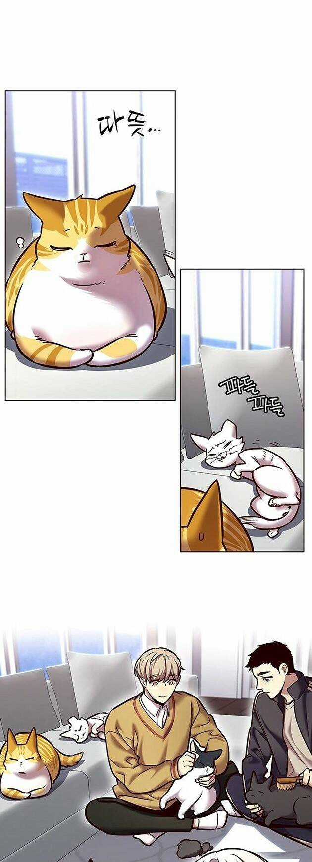 Biến Thân Thành Mèo - Chapter 229 - Trang 19