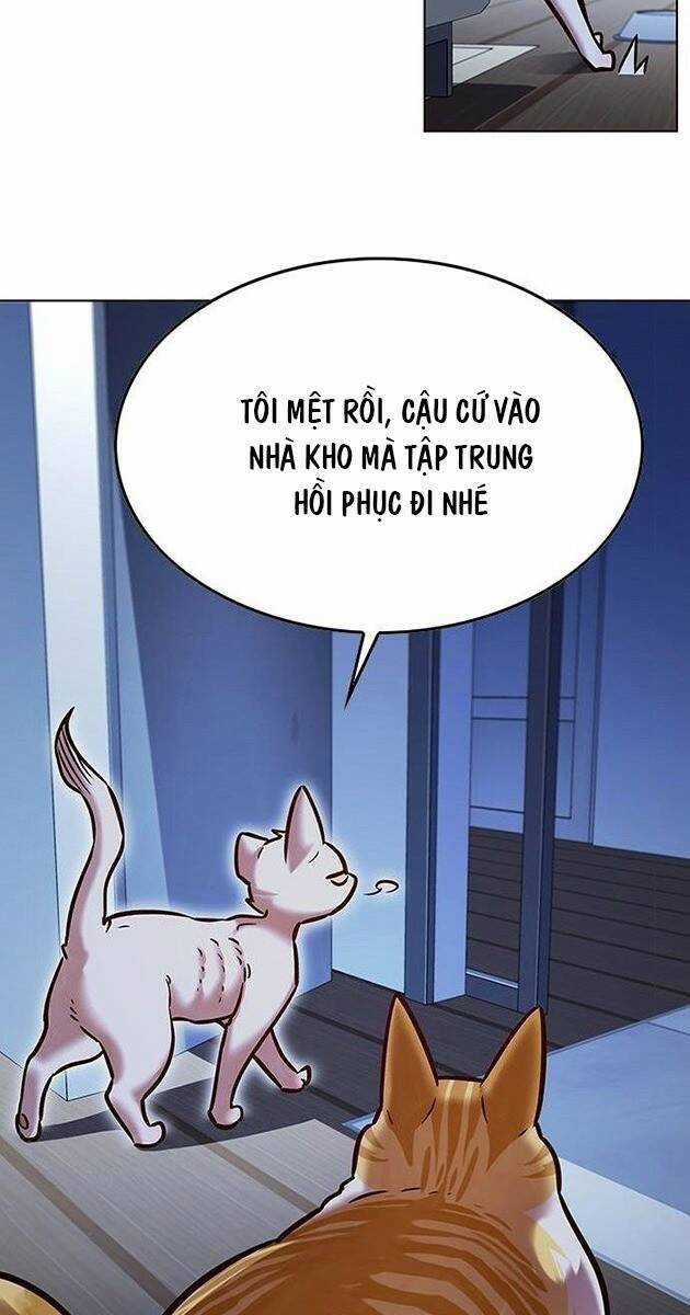 Biến Thân Thành Mèo - Chapter 229 - Trang 47