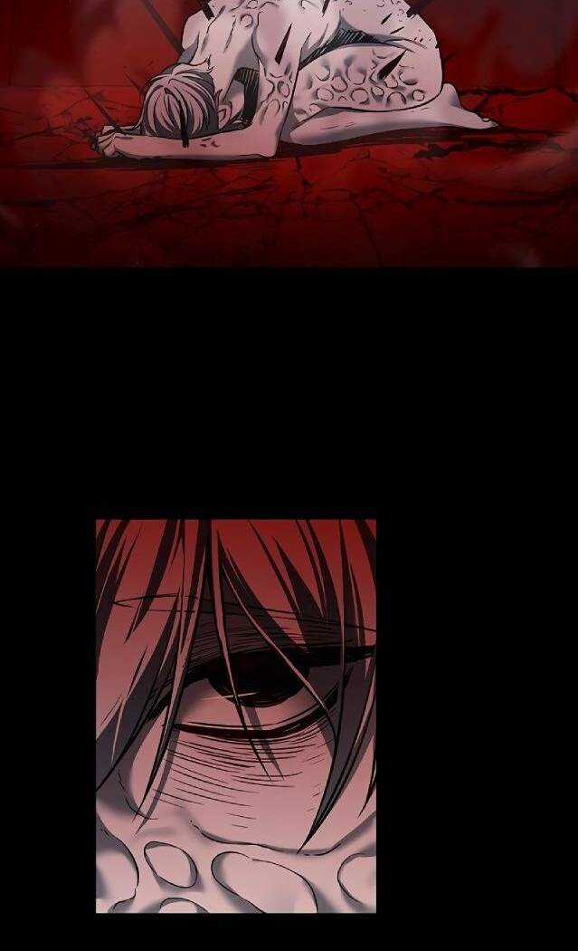 Biến Thân Thành Mèo - Chapter 238 - Trang 28