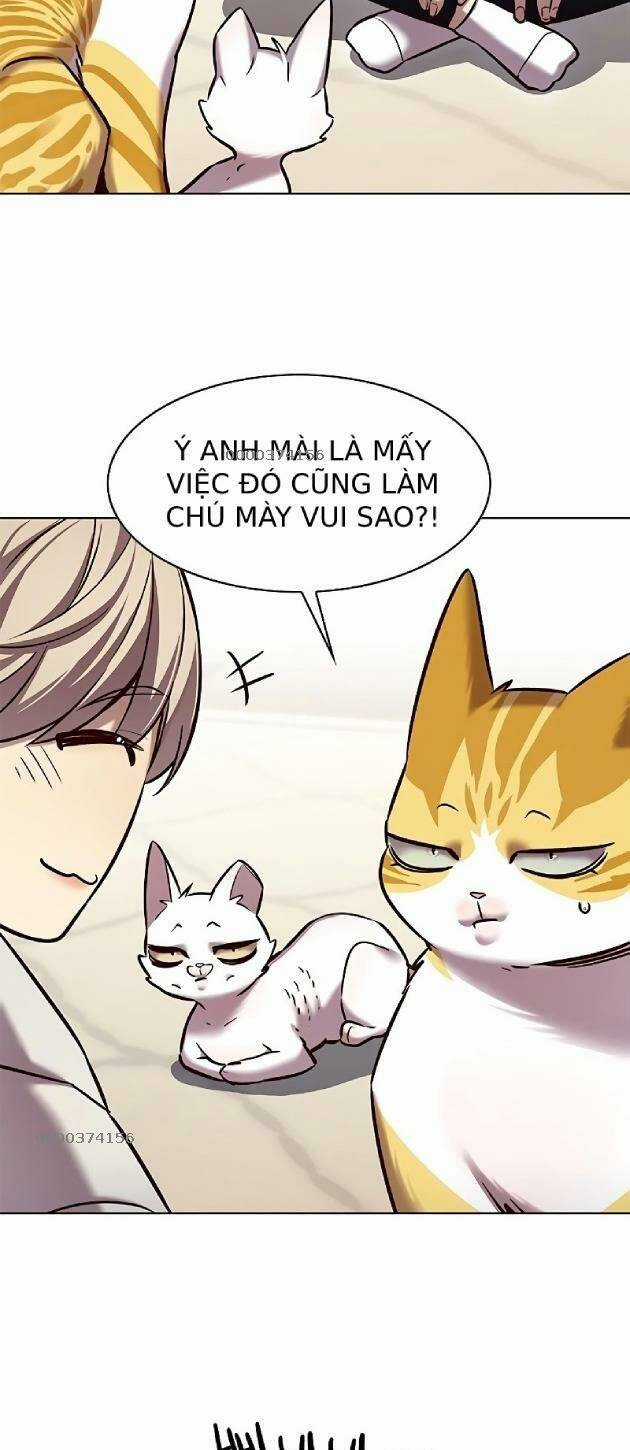 Biến Thân Thành Mèo - Chapter 239 - Trang 15