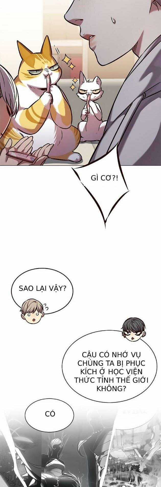 Biến Thân Thành Mèo - Chapter 239 - Trang 22