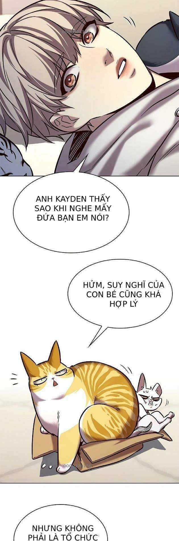 Biến Thân Thành Mèo - Chapter 239 - Trang 31