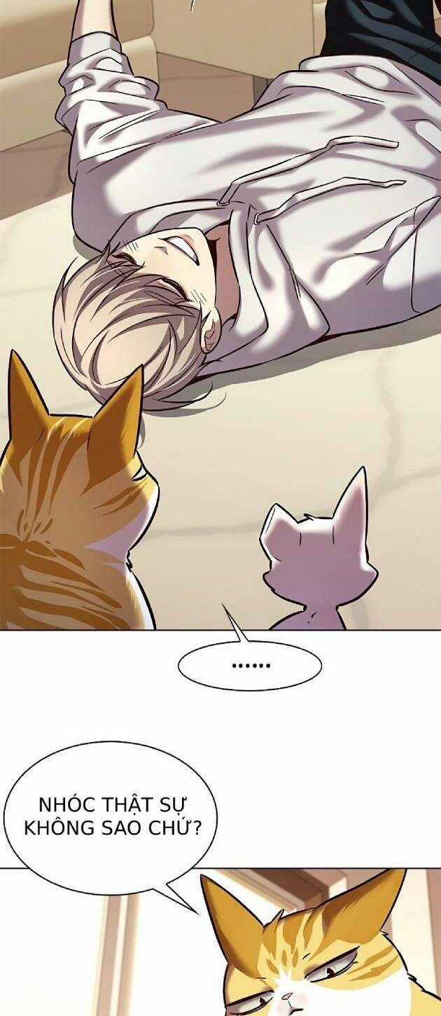 Biến Thân Thành Mèo - Chapter 239 - Trang 6