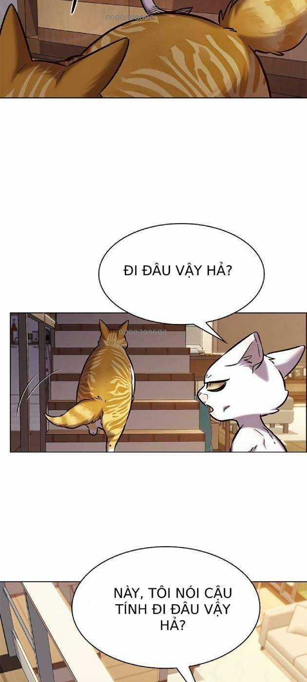 Biến Thân Thành Mèo - Chapter 241 - Trang 59