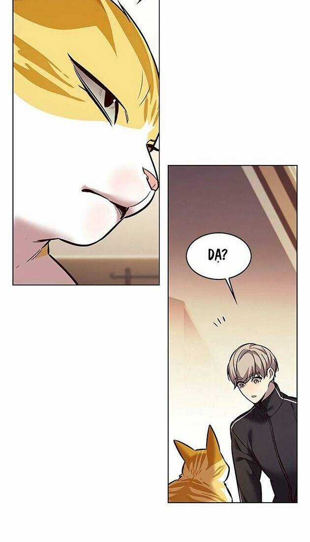 Biến Thân Thành Mèo - Chapter 242 - Trang 43