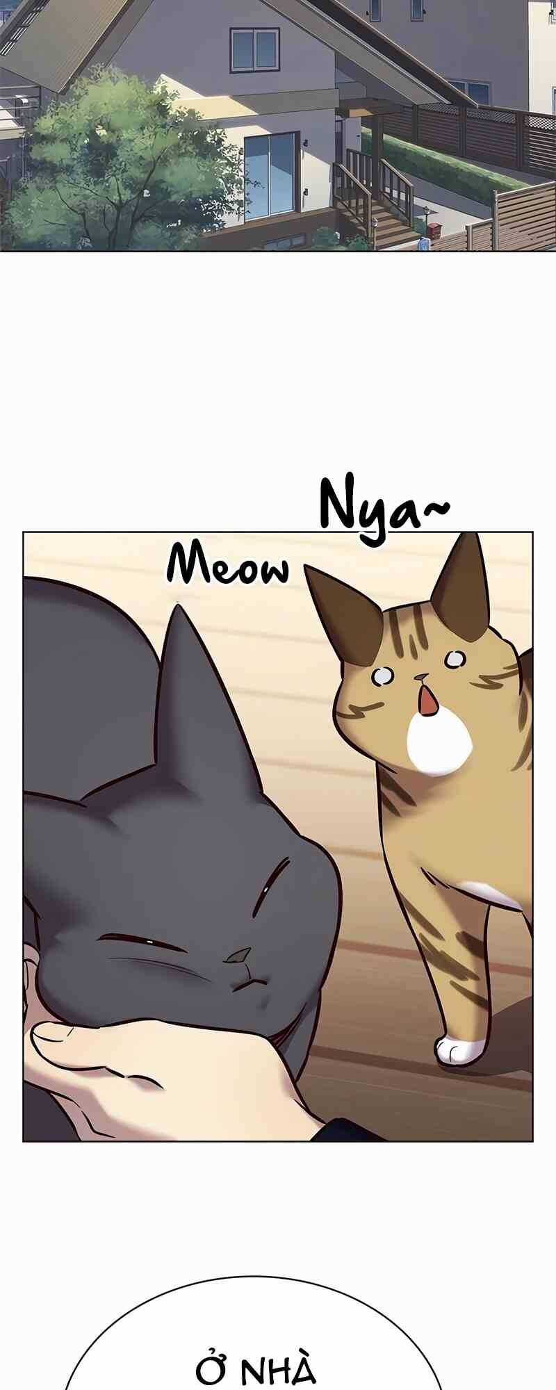 Biến Thân Thành Mèo - Chapter 244 - Trang 41