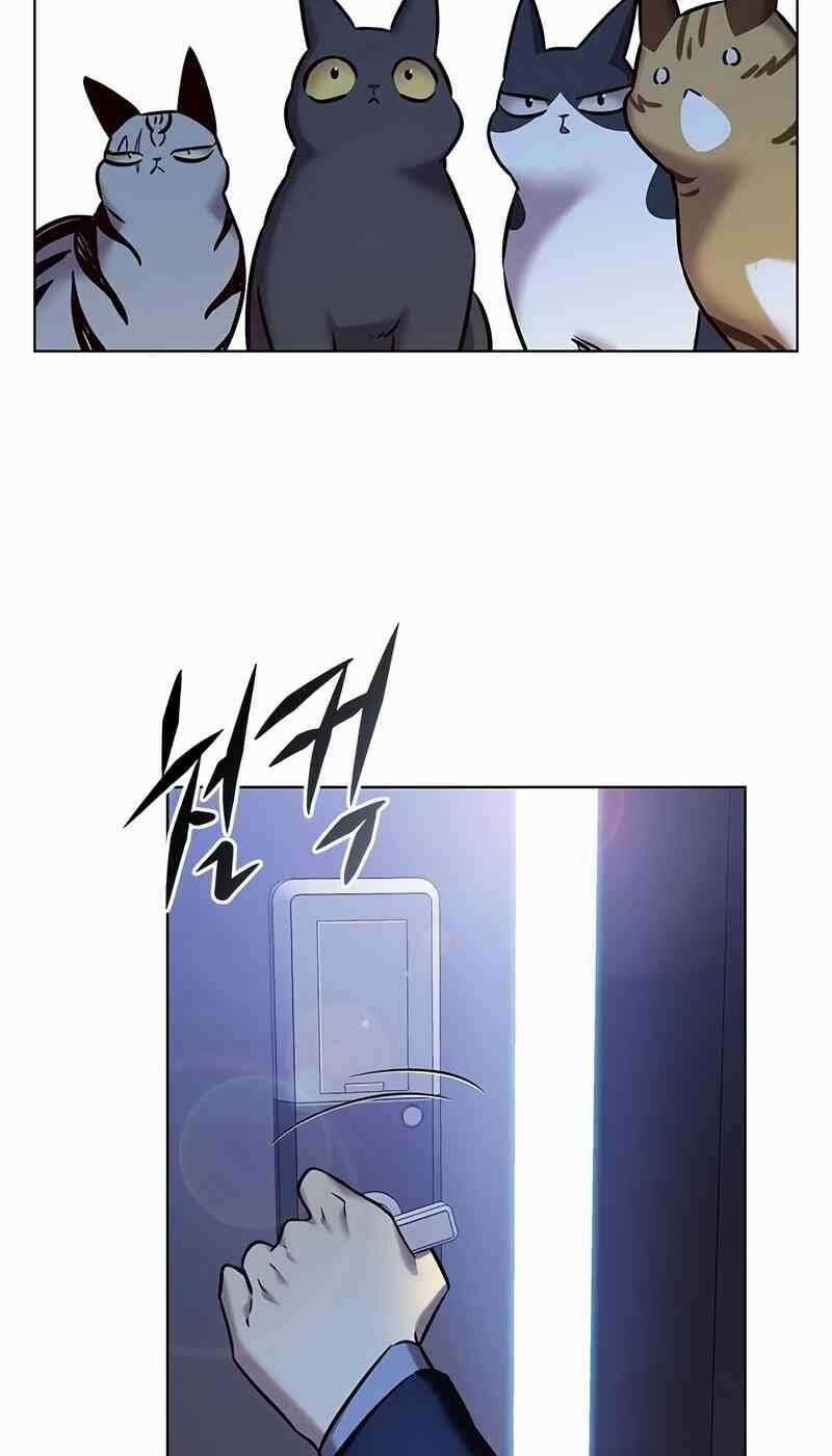 Biến Thân Thành Mèo - Chapter 244 - Trang 43