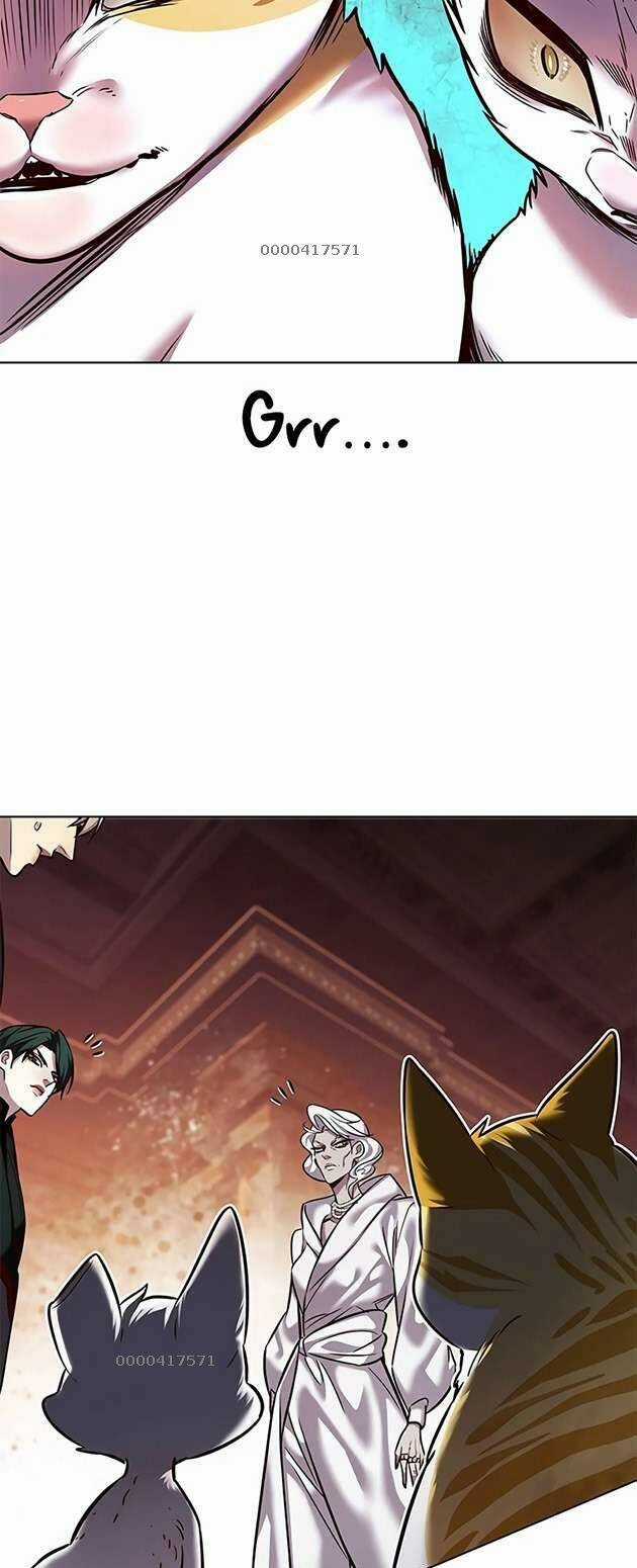 Biến Thân Thành Mèo - Chapter 246 - Trang 17