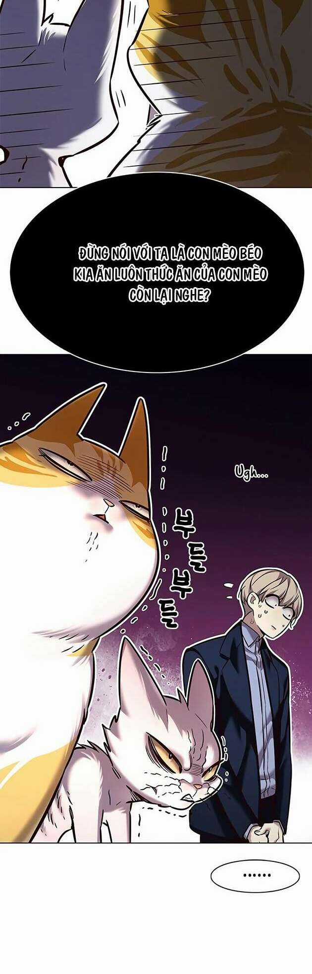 Biến Thân Thành Mèo - Chapter 246 - Trang 20