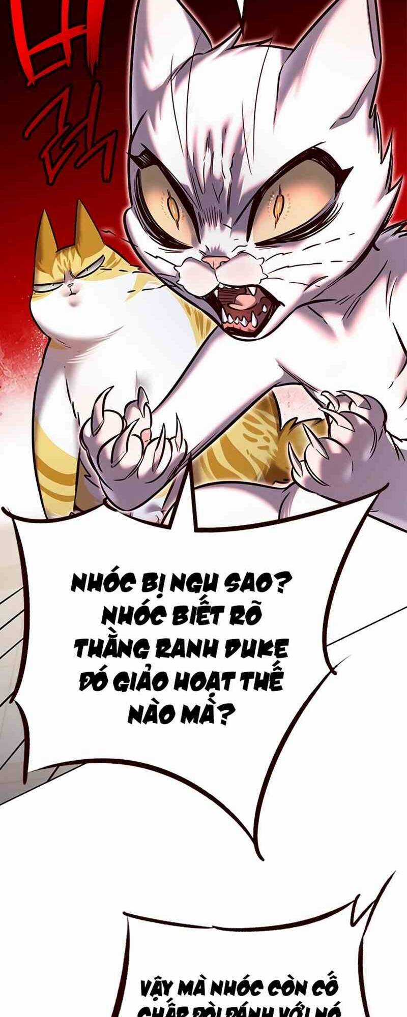 Biến Thân Thành Mèo - Chapter 249 - Trang 62