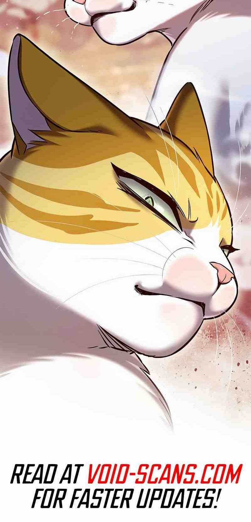 Biến Thân Thành Mèo - Chapter 252 - Trang 69