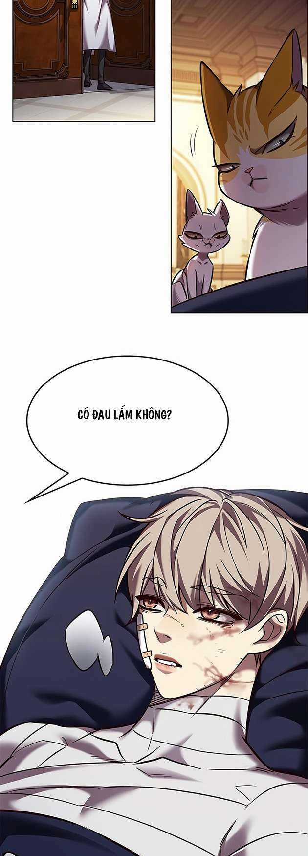 Biến Thân Thành Mèo - Chapter 253 - Trang 54