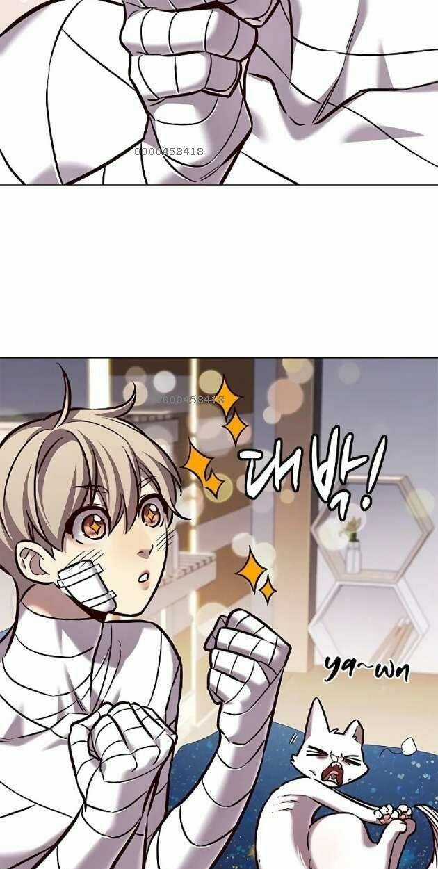 Biến Thân Thành Mèo - Chapter 263 - Trang 5