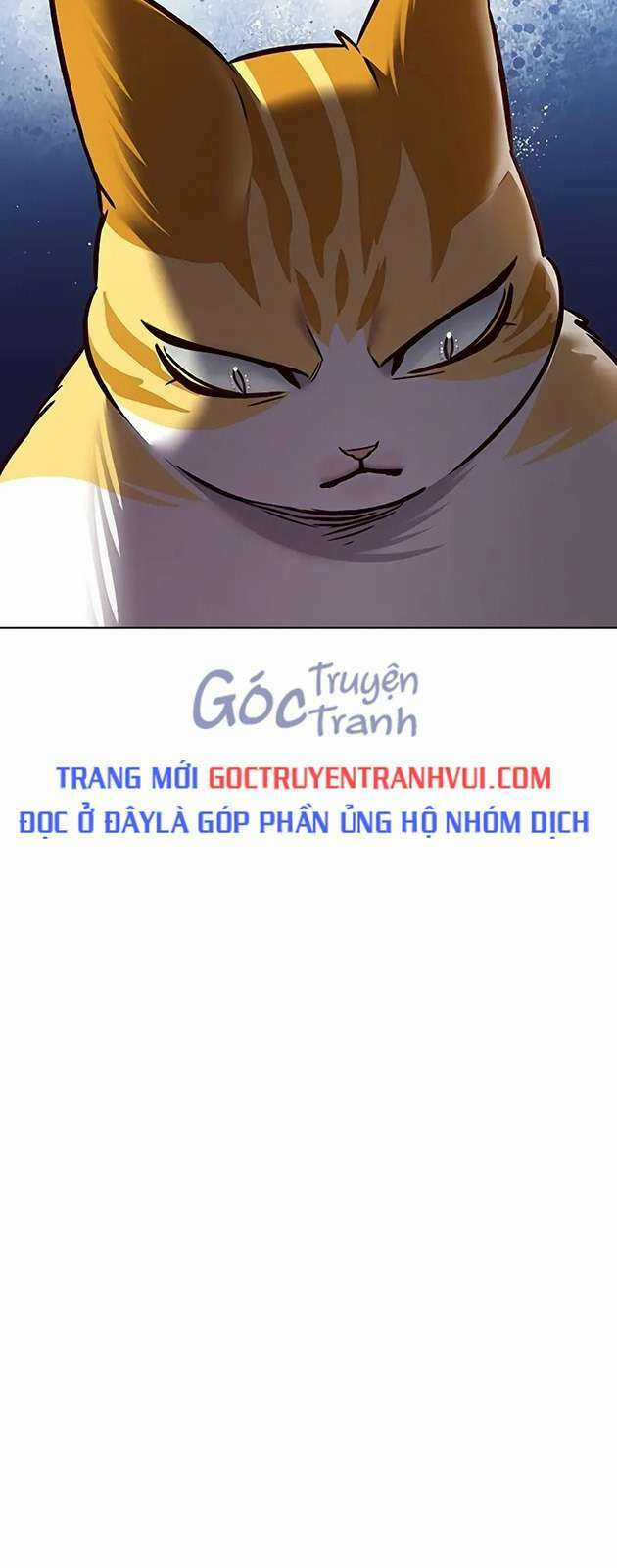 Biến Thân Thành Mèo - Chapter 270 - Trang 23