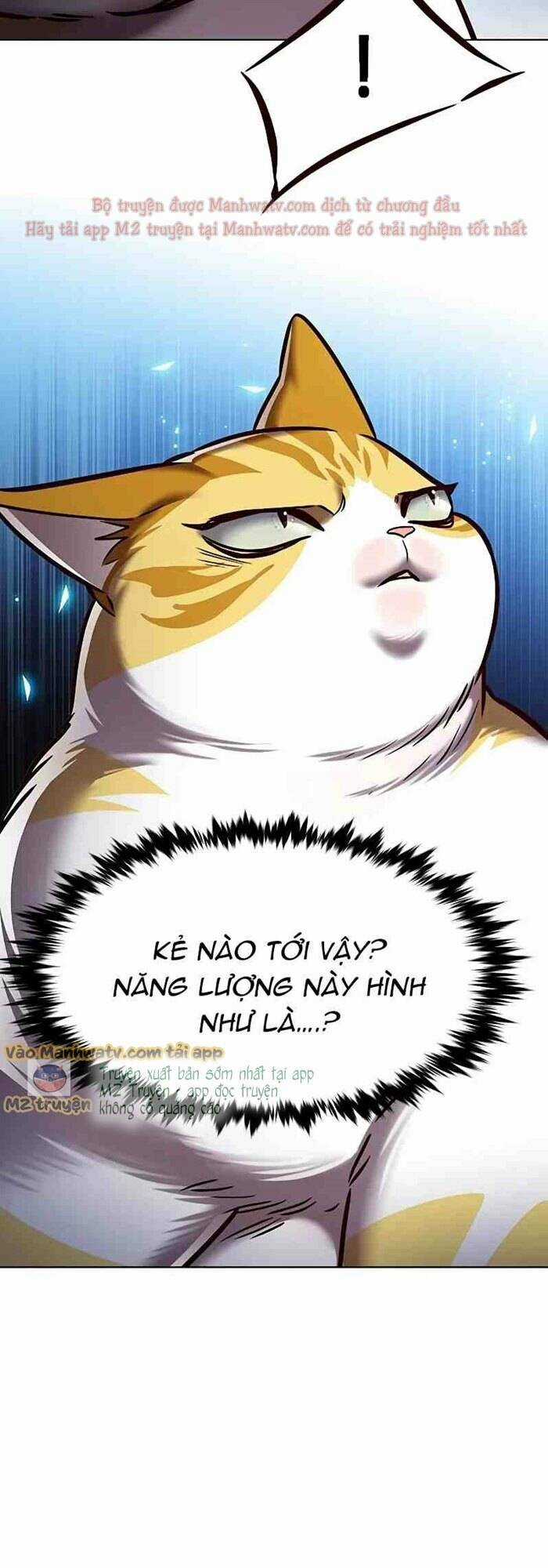 Biến Thân Thành Mèo - Chapter 277 - Trang 61
