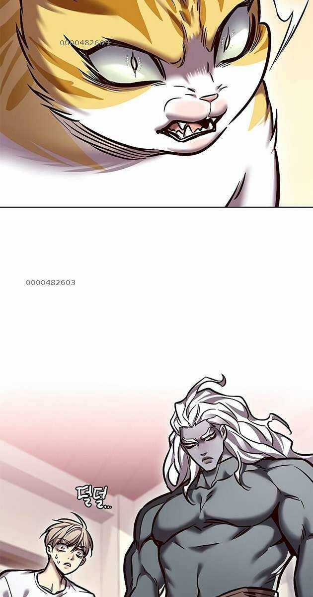 Biến Thân Thành Mèo - Chapter 278 - Trang 3