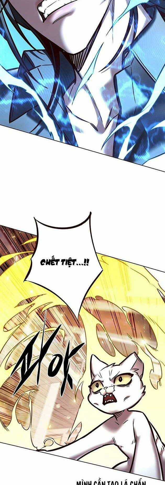 Biến Thân Thành Mèo - Chapter 278 - Trang 41